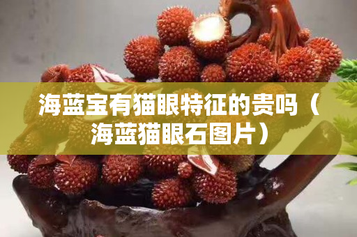 海藍寶有貓眼特征的貴嗎（海藍貓眼石圖片）
