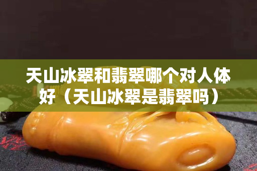 天山冰翠和翡翠哪個對人體好（天山冰翠是翡翠嗎）
