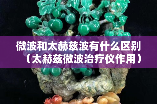 微波和太赫茲波有什么區別（太赫茲微波治療儀作用）