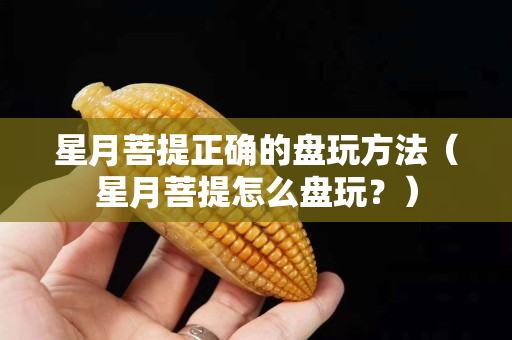 星月菩提正確的盤玩方法（星月菩提怎么盤玩？）