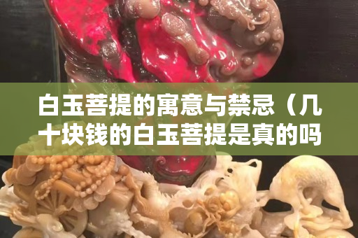 白玉菩提的寓意與禁忌（幾十塊錢的白玉菩提是真的嗎）