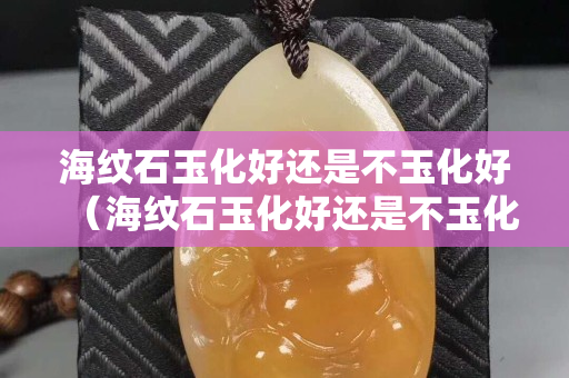 海紋石玉化好還是不玉化好（海紋石玉化好還是不玉化好呢）