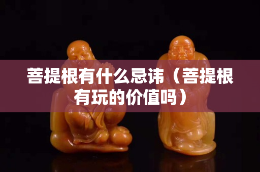 菩提根有什么忌諱（菩提根有玩的價值嗎）