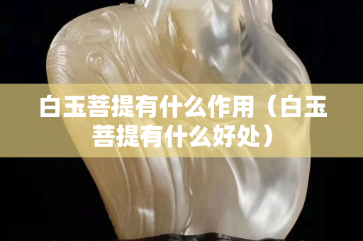 白玉菩提有什么作用（白玉菩提有什么好處）