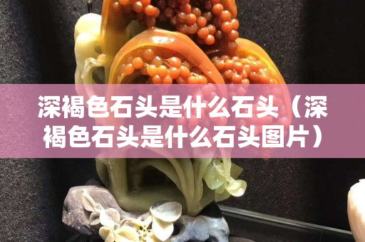 深褐色石頭是什么石頭（深褐色石頭是什么石頭圖片）