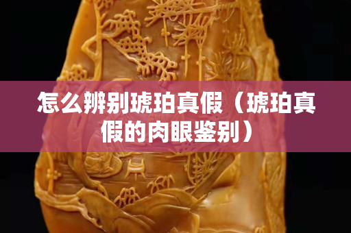 怎么辨別琥珀真假（琥珀真假的肉眼鑒別）
