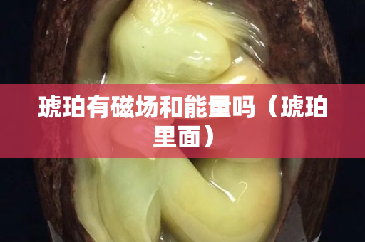 琥珀有磁場(chǎng)和能量嗎（琥珀里面）