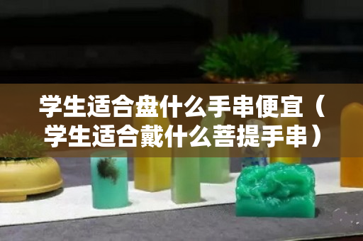 學(xué)生適合盤什么手串便宜（學(xué)生適合戴什么菩提手串）