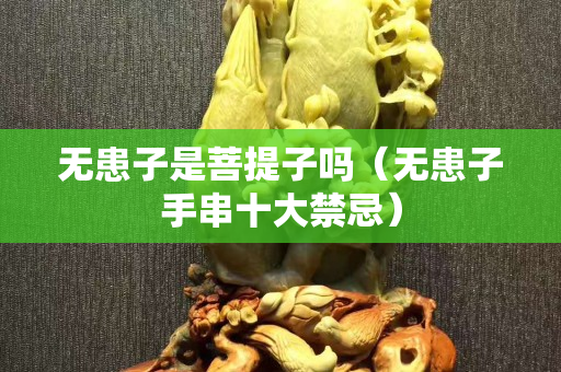 無患子是菩提子嗎（無患子手串十大禁忌）
