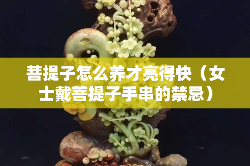 菩提子怎么養才亮得快（女士戴菩提子手串的禁忌）
