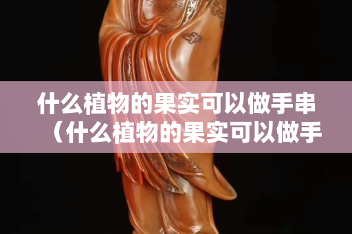 什么植物的果實可以做手串（什么植物的果實可以做手串呢）