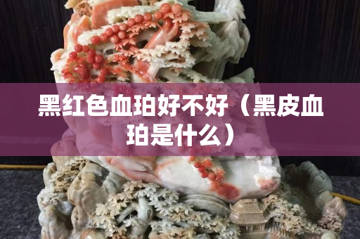 黑紅色血珀好不好（黑皮血珀是什么）