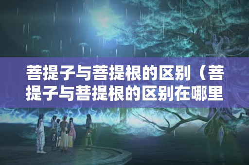 菩提子與菩提根的區(qū)別（菩提子與菩提根的區(qū)別在哪里）