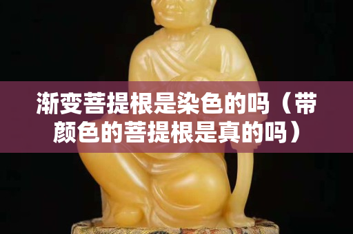 漸變菩提根是染色的嗎（帶顏色的菩提根是真的嗎）