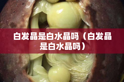 白發晶是白水晶嗎（白發晶是白水晶嗎）