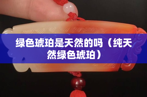 綠色琥珀是天然的嗎（純天然綠色琥珀）