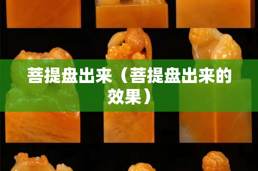 菩提盤出來（菩提盤出來的效果）