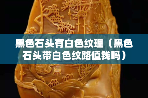 黑色石頭有白色紋理（黑色石頭帶白色紋路值錢嗎）