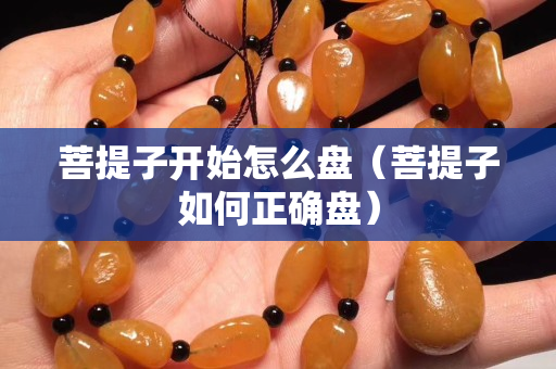 菩提子開始怎么盤（菩提子如何正確盤）