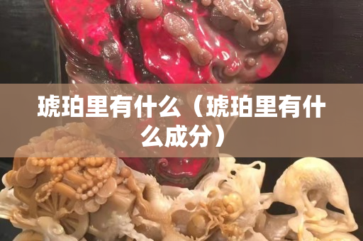 琥珀里有什么（琥珀里有什么成分）