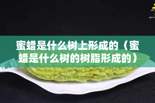 蜜蠟是什么樹上形成的（蜜蠟是什么樹的樹脂形成的）