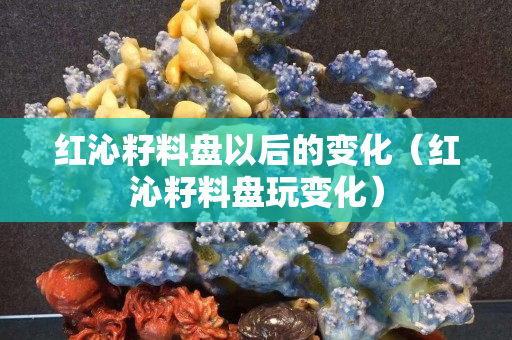 紅沁籽料盤(pán)以后的變化（紅沁籽料盤(pán)玩變化）