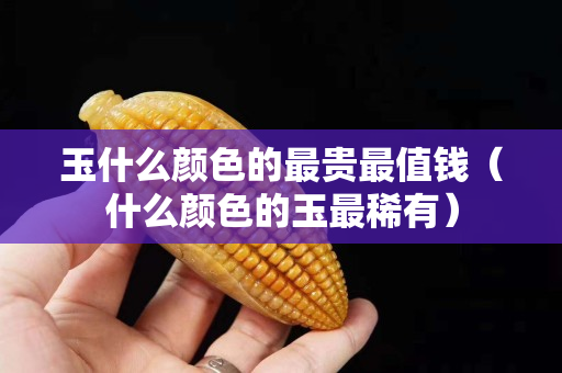 玉什么顏色的最貴最值錢（什么顏色的玉最稀有）