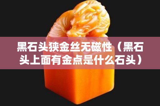 黑石頭狹金絲無磁性（黑石頭上面有金點是什么石頭）