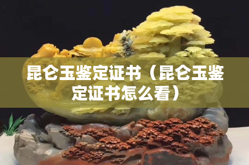 昆侖玉鑒定證書（昆侖玉鑒定證書怎么看）
