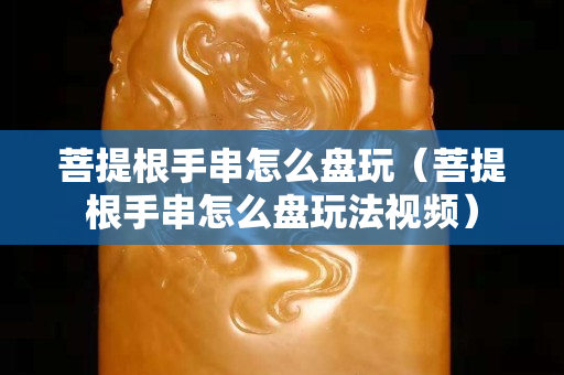 菩提根手串怎么盤玩（菩提根手串怎么盤玩法視頻）