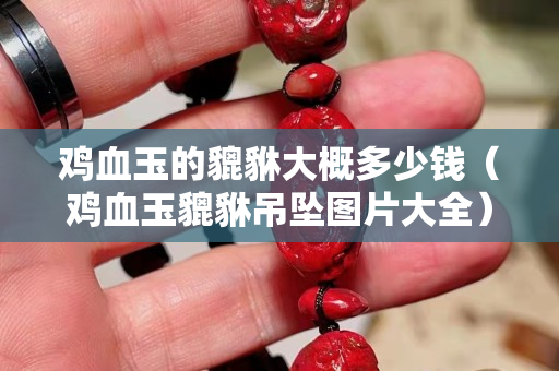 雞血玉的貔貅大概多少錢（雞血玉貔貅吊墜圖片大全）