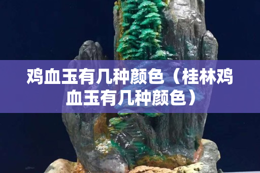 雞血玉有幾種顏色（桂林雞血玉有幾種顏色）