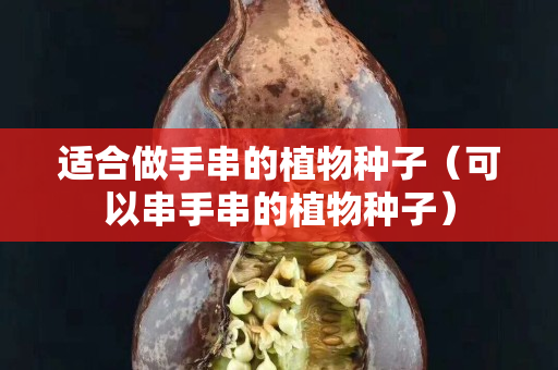 適合做手串的植物種子（可以串手串的植物種子）