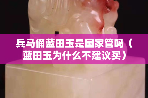 兵馬俑藍田玉是國家管嗎（藍田玉為什么不建議買）
