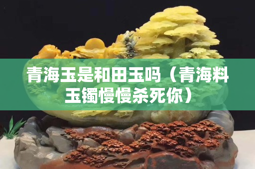 青海玉是和田玉嗎（青海料玉鐲慢慢殺死你）