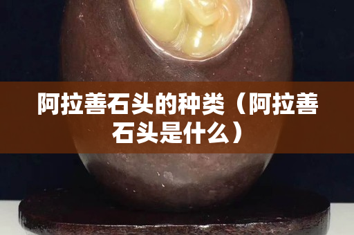阿拉善石頭的種類（阿拉善石頭是什么）