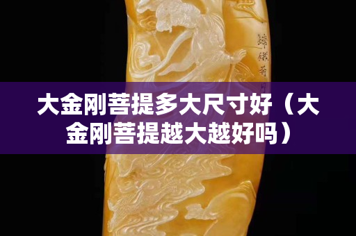 大金剛菩提多大尺寸好（大金剛菩提越大越好嗎）