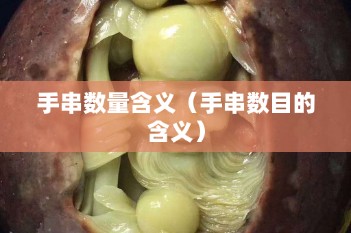 手串數量含義（手串數目的含義）