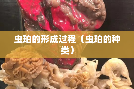 蟲珀的形成過程（蟲珀的種類）