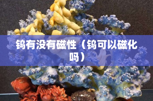 鎢有沒有磁性（鎢可以磁化嗎）