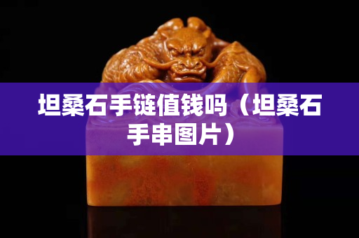 坦桑石手鏈值錢嗎（坦桑石手串圖片）