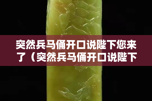 突然兵馬俑開口說陛下您來了（突然兵馬俑開口說陛下您來了小說）