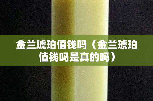 金蘭琥珀值錢嗎（金蘭琥珀值錢嗎是真的嗎）