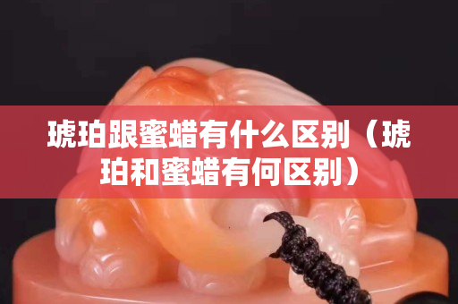 琥珀跟蜜蠟有什么區別（琥珀和蜜蠟有何區別）