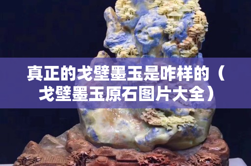 真正的戈壁墨玉是咋樣的（戈壁墨玉原石圖片大全）