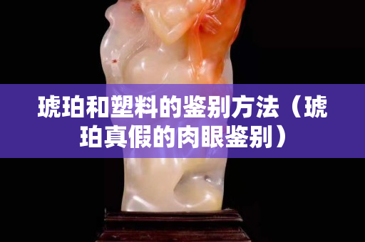 琥珀和塑料的鑒別方法（琥珀真假的肉眼鑒別）
