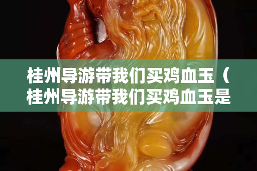 桂州導游帶我們買雞血玉（桂州導游帶我們買雞血玉是真的嗎）