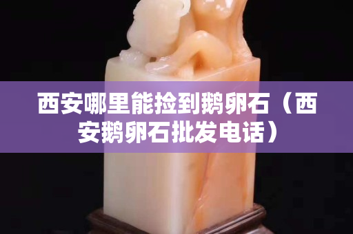 西安哪里能撿到鵝卵石（西安鵝卵石批發電話）