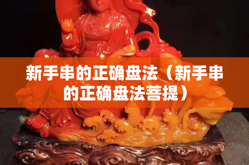 新手串的正確盤法（新手串的正確盤法菩提）