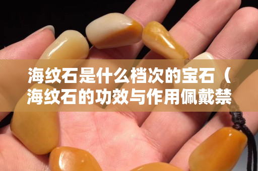 海紋石是什么檔次的寶石（海紋石的功效與作用佩戴禁忌）